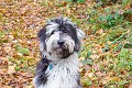 image_03_DSC00655-2